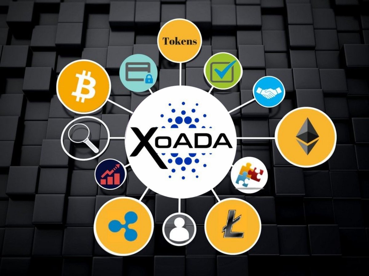 rubysunn126's tweet photo. @XOADAX My entry
@XOADAX
Hope you like it sir
@harttlock @ethpg @xiongma79356600
#Xoada #ada #Meme #Contest #MemeContest https://t.co/rIJTZQd6JB