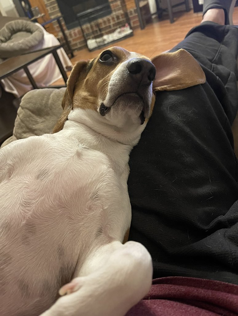 RealitySteve tweet media