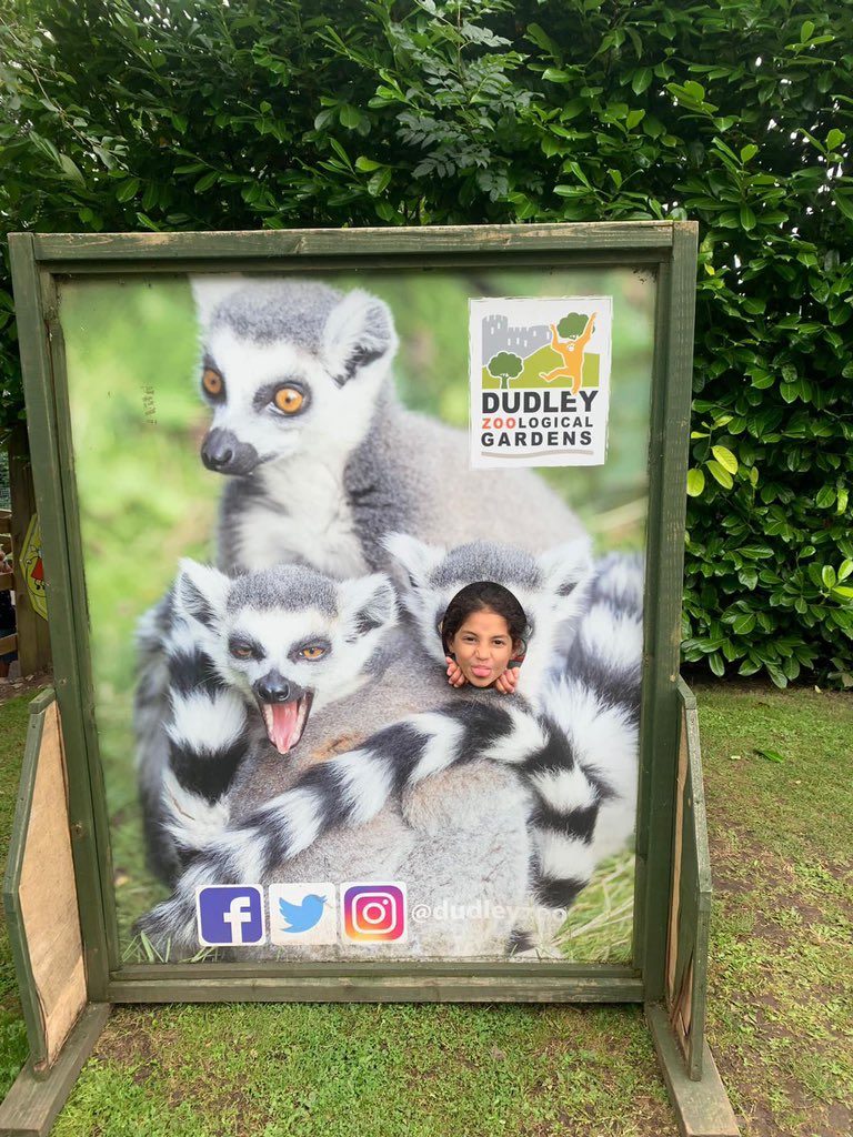 Brilliant day out at <a href="/dudleyzoo/">Dudley Zoo</a> for Little Lodge this week 🐯

#playgroup #playwork #falconlodge