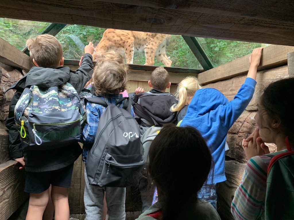 YMCA Sutton Coldfield tweet media