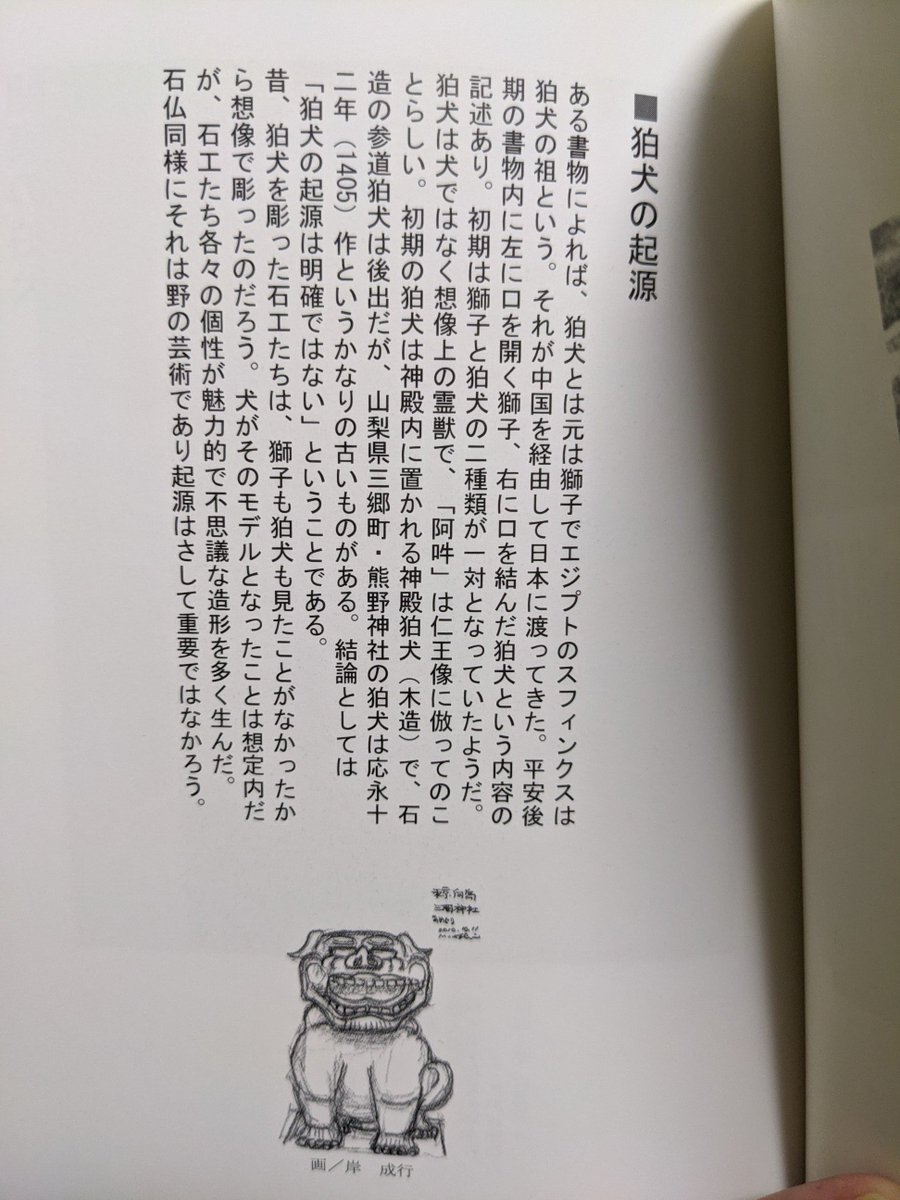 ポケモンlegendsアルセウス考察セルフまとめ 2ページ目 Togetter ポケモンlegendsアルセウス考察セルフまとめ 2ページ目 Togetter