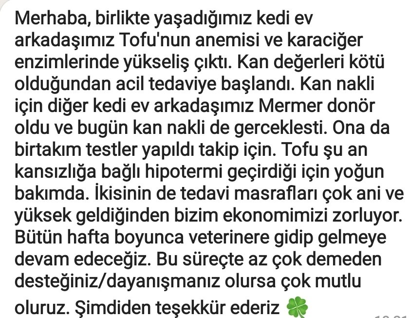 Çok sevdiğim bir arkadaşımın kedisi. Tedavi masrafı gerçekten onları zorlayacak durumda şu anda. Ufak da olsa destek verebilirsiniz çok seviniriz 💜 Destek olmak isteyenlere dmden iban bilgisi verebilirim.