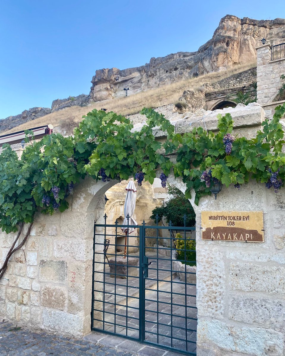 Ürgüp'te bulunan Kayakapı Premium Caves - Cappadocia'nın ücretlendirmesinde:

🛏 Oda
🍳 Kahvaltı
💰 KDV ve
🍇 Üzüm (dalından) dahildir 😋
・・・
📌 108 - Muhittin Toker Evi
・・・
kayakapi.com/tr/108-muhitti…
・・・
#Ürgüp #Kapadokya #Cappadocia