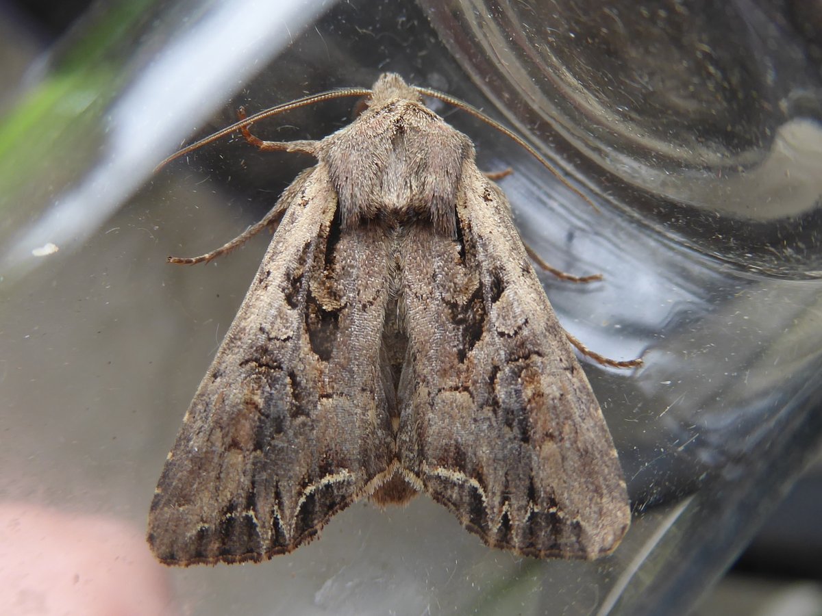 Martin Raper tweet media