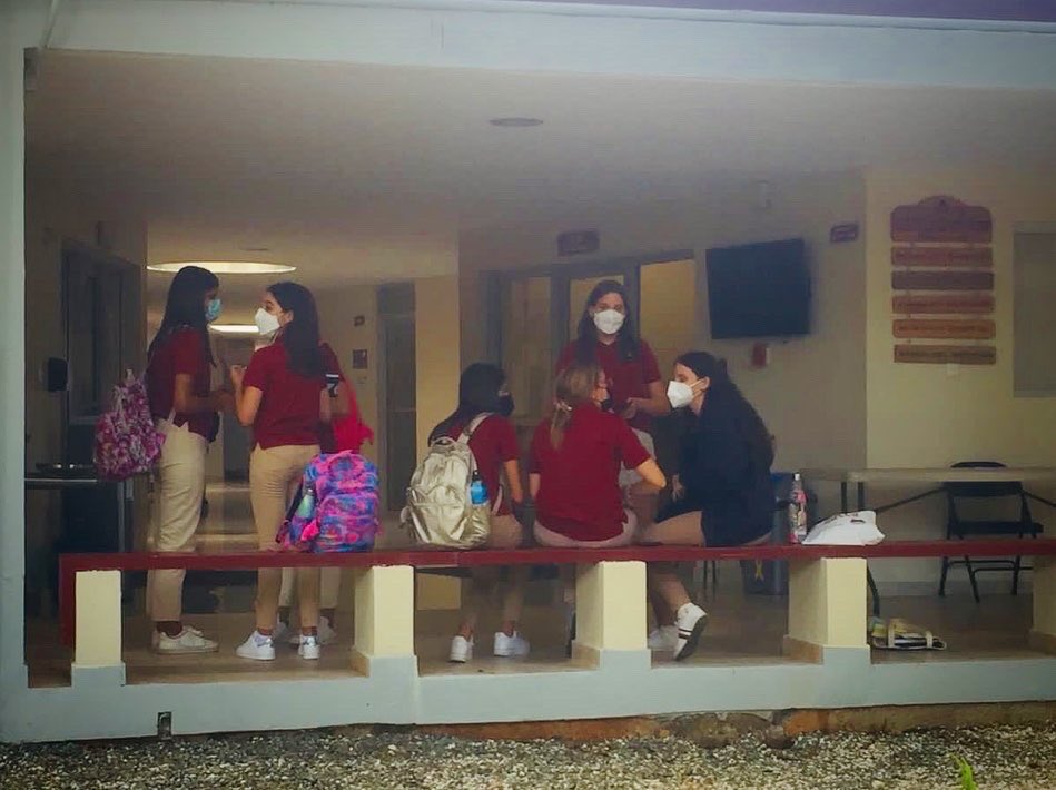 Carol Morgan School tweet media