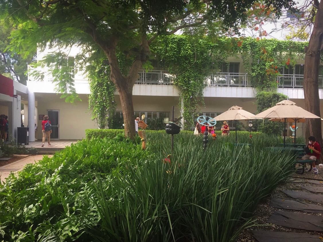 Carol Morgan School tweet media