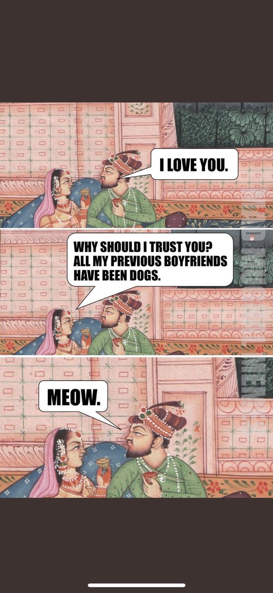 evilwoman✨ tweet media