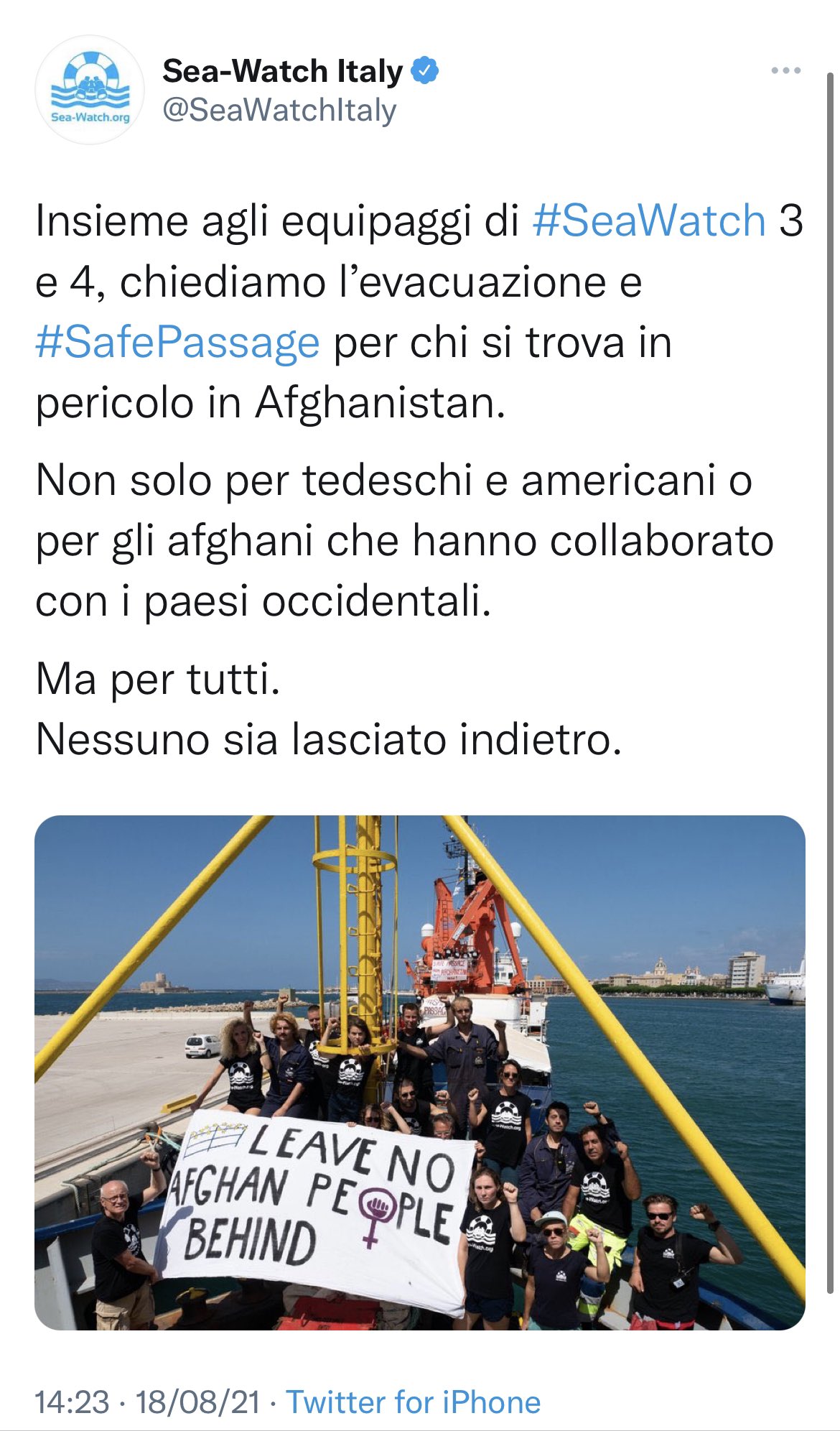 Immagine