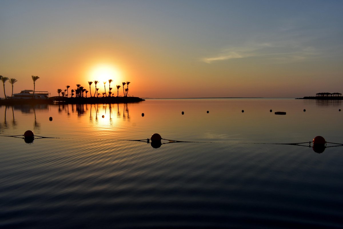 ContinentalHrg's tweet photo. Fall in love with the sunrise...♥️🌞
#continentalhotelhurghada
#we_make_every_day_count
#continentalhotelhurgada #Egypt #egypttravel #hurghada #hurghada2021 #hurghada_hotels #redsea #travelling #summer2021 #summertime #vacation #holidays #seaviewhotel #beachholidays #sunrise https://t.co/3LWkt3FbUB