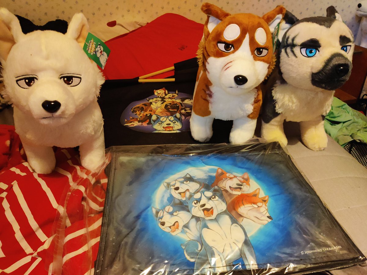 ToraCollita's tweet photo. My 2nd order has arrived! My bags and the extra plushies for family and friends 💗💗💗
#銀牙 #silverfang #ginga #pureplastic https://t.co/tWzbVobB4r