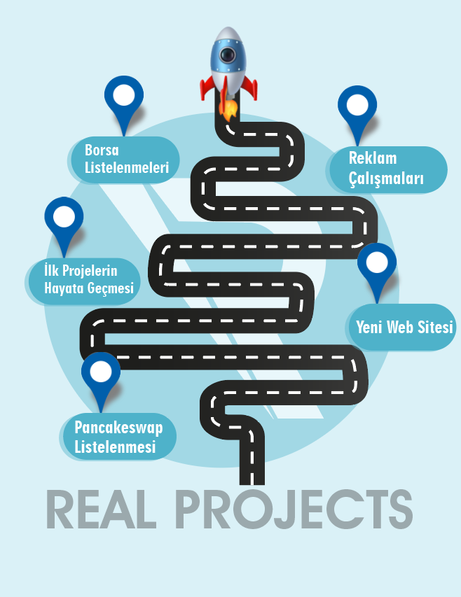 RealProjectsRPJ's tweet photo. @RealProjectsRPJ Yol Haritası 💎 https://t.co/RStWy6OBN7