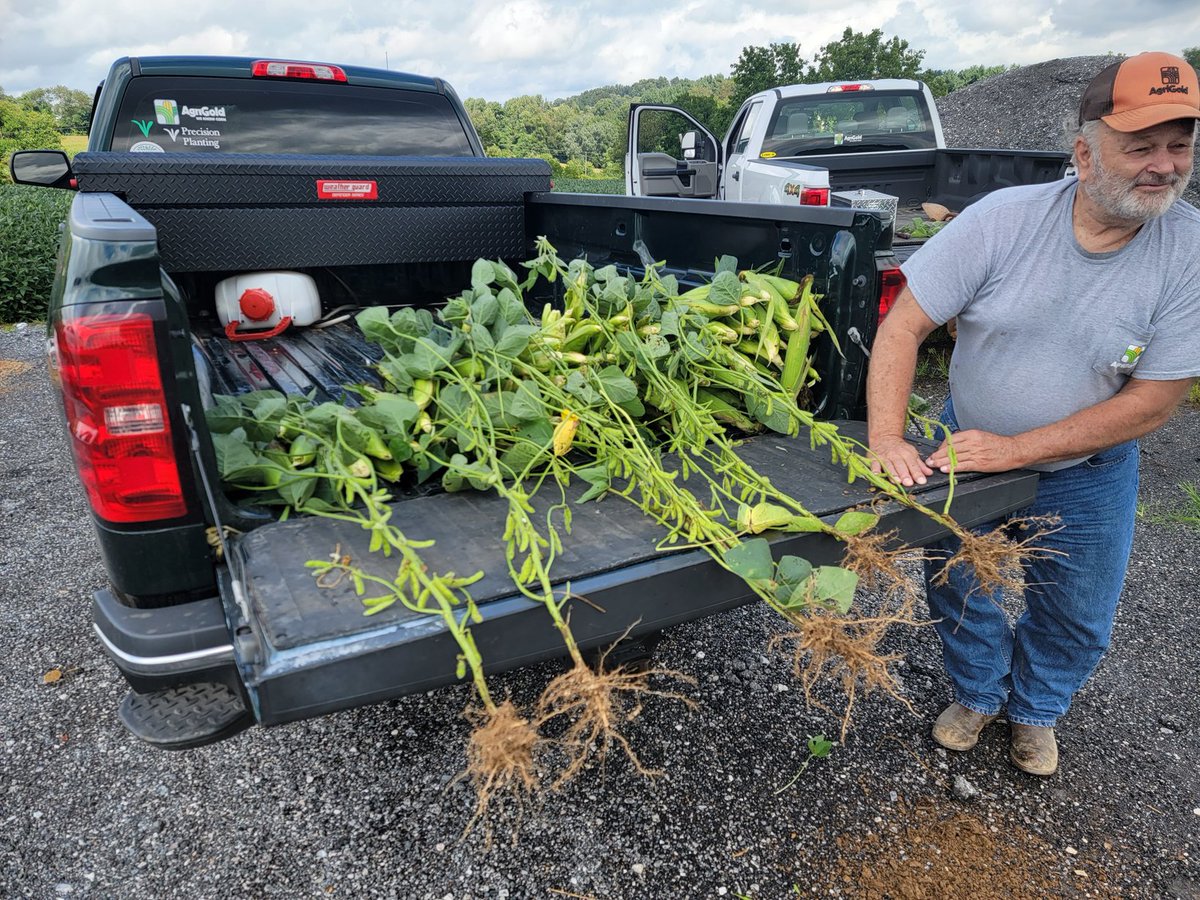 Chris weaver tweet media