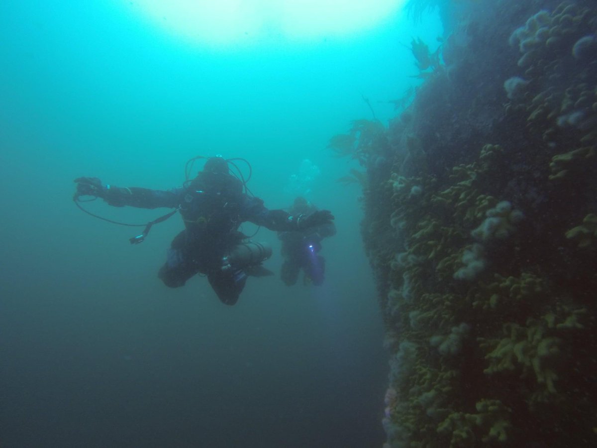 Hayden Close tweet media