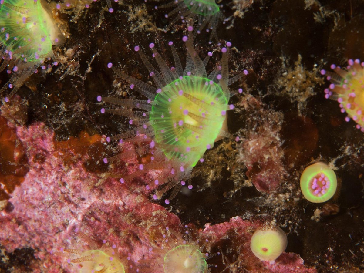 Hayden Close tweet media