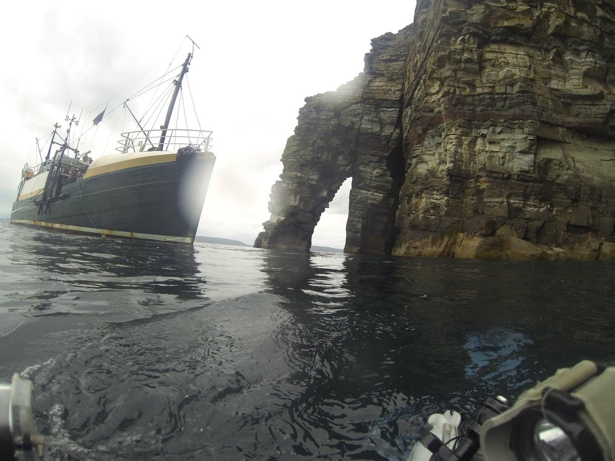 Hayden Close tweet media