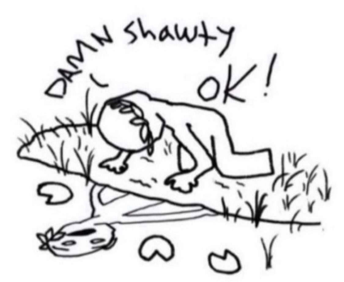 𝔣𝔯𝔫𝔤𝔢 tweet media