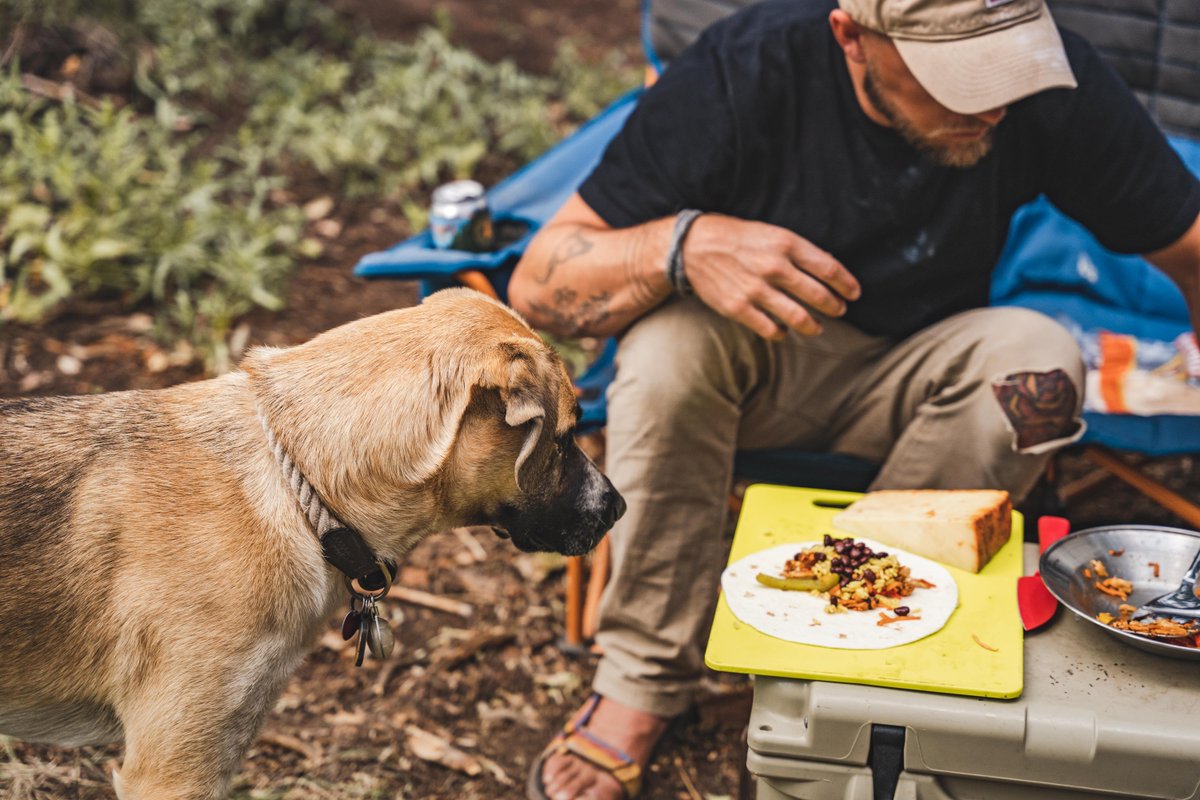 beehivecheese's tweet photo. You better guard that cheese or fido might snatch it from you 😲🐶
.
[image description: a man looking away from his food while his dog eyes it]
.
#makingfriendswithcheese #dog #cheddar #dogslikecheese #bigjohnscajun #redbuttehatch #camping #summer https://t.co/OGHw0ldhY0