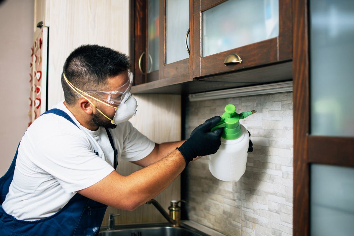 Pest control companies spend more time in the field than in the office. Pronto’s can help businesses reach sales goals, enhance the sense of #connection between employees, and improve the quality of pest control services for #customers.

buff.ly/3xcxG0Q