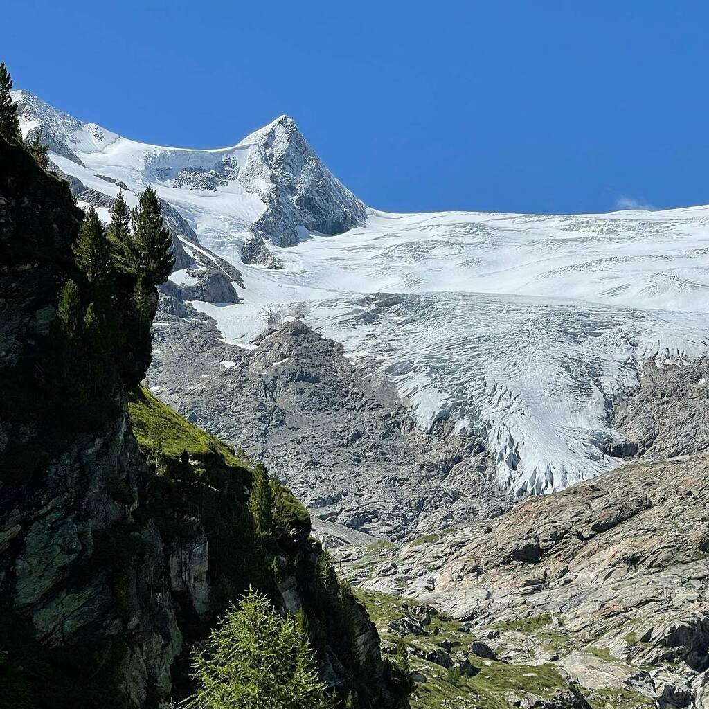 ichflippaus's tweet photo. #hohetauern #osttirol #matreiinosttirol #innergeschlöss #gletscher #grossvenediger #keesboden #schlatenbach https://t.co/sQYPLjhkUb https://t.co/JJt4jPoxkX
