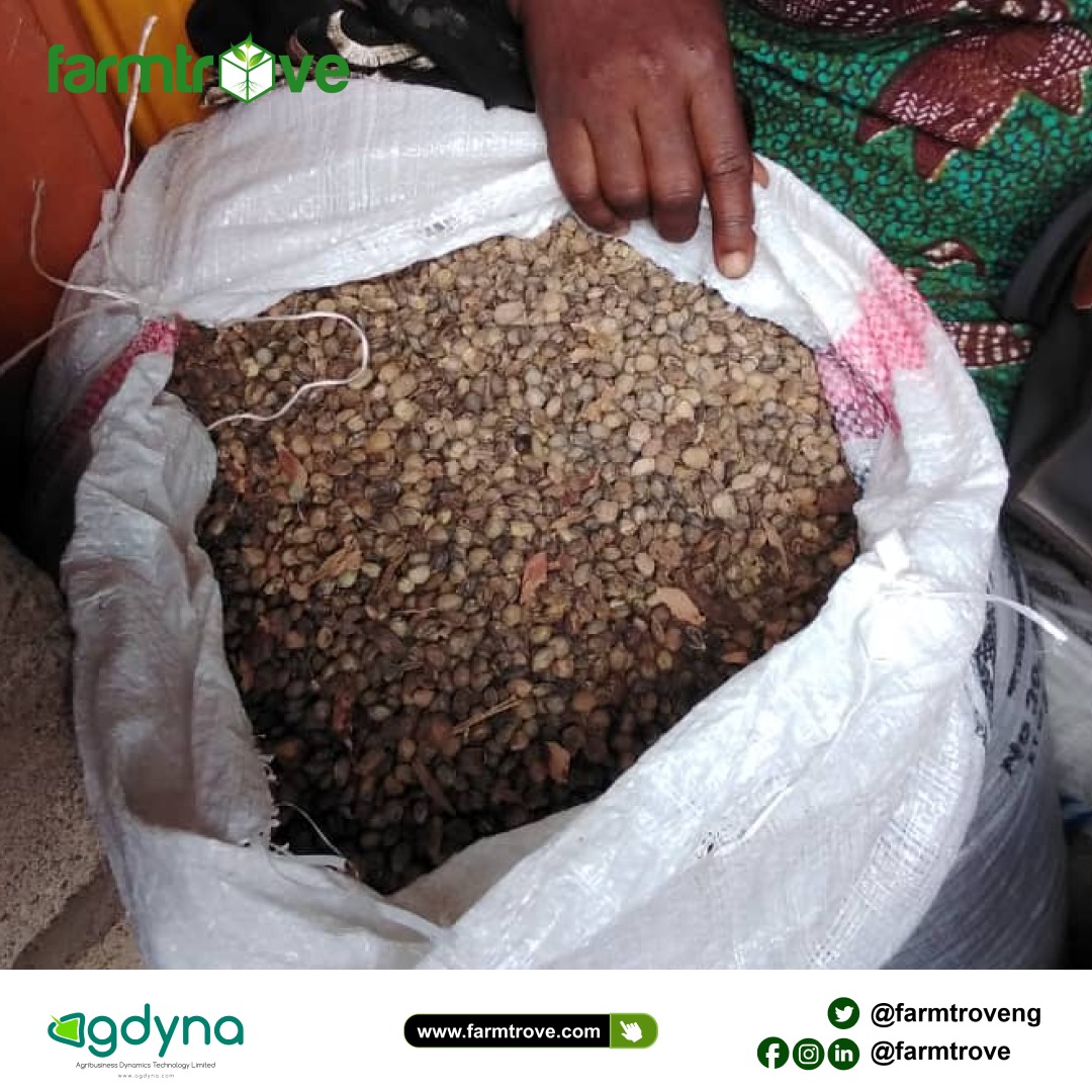 Farmtroveng's tweet photo. https://t.co/p6HQcAvm86