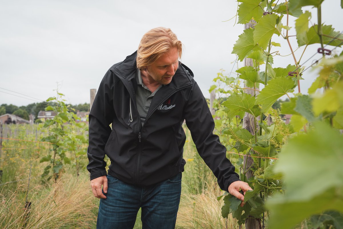 OostCollection's tweet photo. Sipping the day away with mother nature's approval.
Link in bio to read more about our commitment to nature in partnership with Wijngaard St. Martinus and to discover our wine collection.
#OCmemories #oostwegelcollection #OCPartner #sustainablewine #inlimburg #hiermoetjezijn https://t.co/OQIBny9WOc