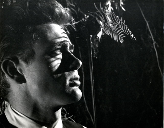 sulromanzo's tweet photo. Nel 1955 Elia Kazan porta sul grande schermo «La valle dell'Eden» di John Steinbeck (1952) affidando a James Dean il ruolo di Cal Trask. Che ne pensate di James Dean e del film? All'altezza del libro?
#LibriAlCinema https://t.co/5K7B8IsIfk
