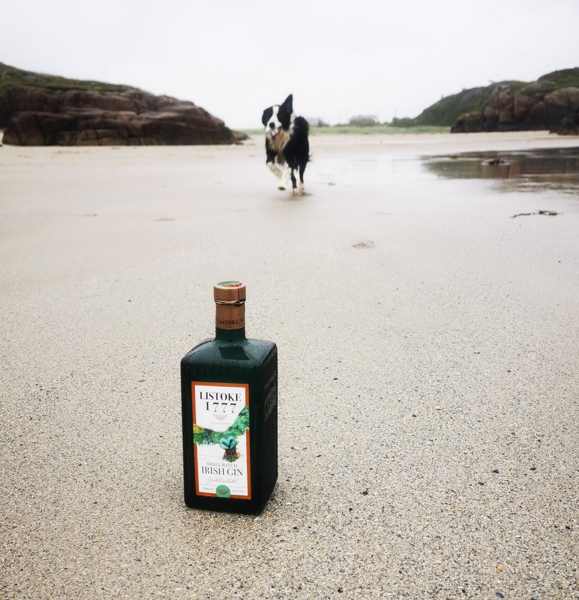 listokedistill's tweet photo. Going on a Staycation this year?🌞
Bring us with you 💚🦉
We bring the fun 🎉
#Listoke1777 #listokedistillery #ListokeGin #drinkresponsibly #staysafe #gin #familybusiness #donegal https://t.co/TDv8xoYVmW