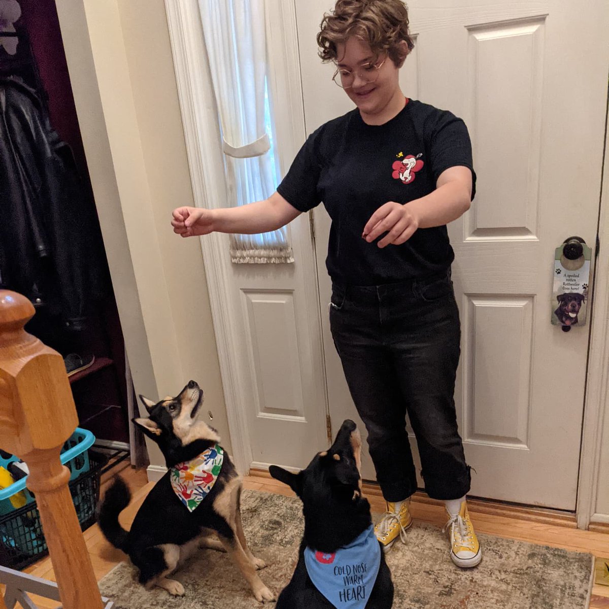 MeganSolfronk's tweet image. Back to School. #FCPSBackToSchool #8thgrade and #10thgrade #volleyballlife #furbabies