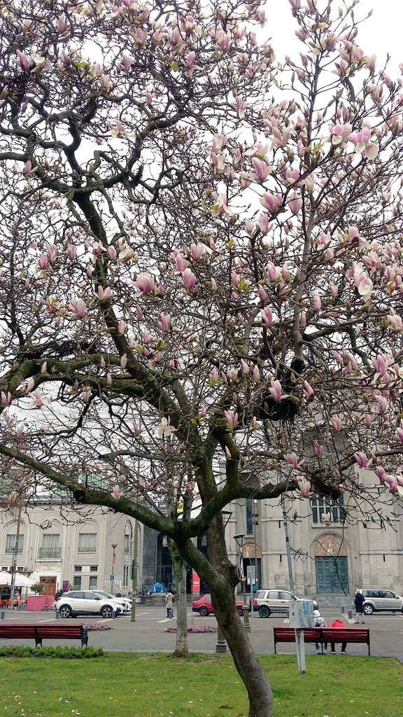 💚💜 Patricia Alejandra tweet media