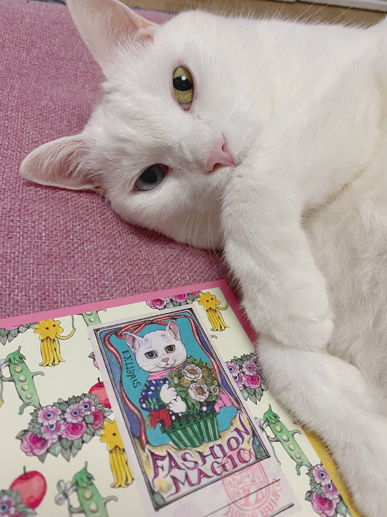 Yuko higuchi ヒグチユウコ on X: Yuko higuchi ヒグチユウコ on X: