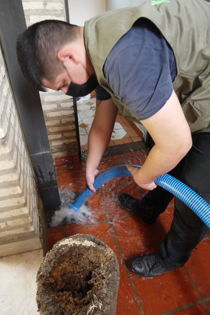 dgpm_asu's tweet photo. Para ello, se procedió al desagote de una pileta, según 𝗢𝗿𝗱. 46/07, 𝗔𝗿𝘁. 9. El propietario de la vivienda, fue notificado en tiempo y forma, dada su inobservancia, se dió cumplimiento a la normativa. 
#VigilanciaAsu #AsuncionEnOrden https://t.co/AJpyg5bPuR