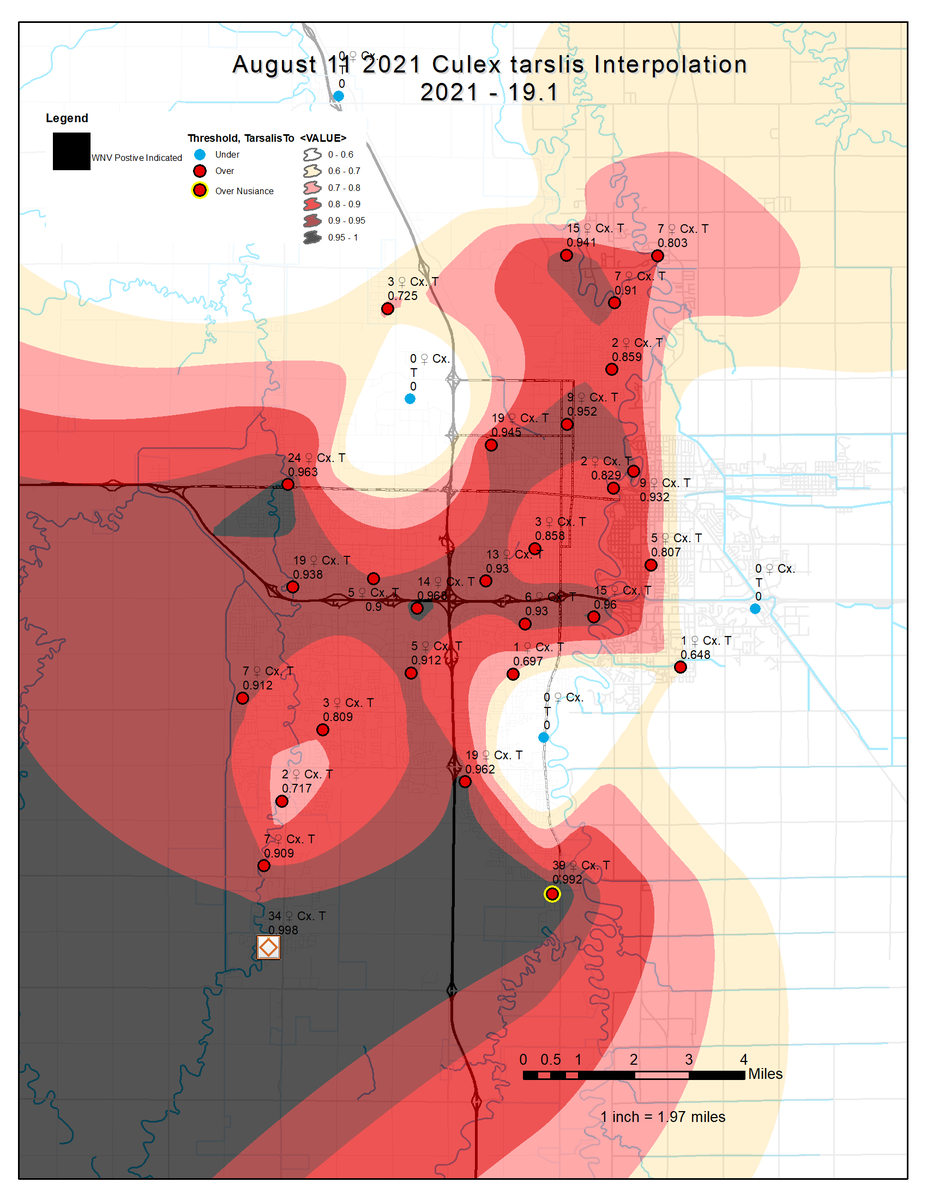 CCVectorControl's tweet photo. Although no human cases have been identified, species capable of spreading WNV are near 10 year maxima in some locations https://t.co/r7GWUxBzT4