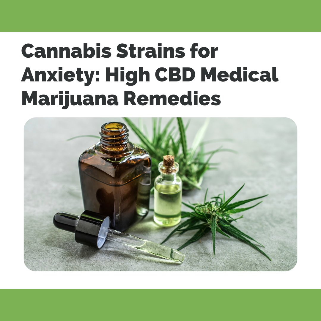Did you know certain cannabis strains for anxiety have shown to be more effective than others when treating anxiety? Visit medmc.ca to check out our new blog post and learn more.

#medicalmarijuana #cannabiscommunity
#cannabisculture
#cannabis
#cannabiscures