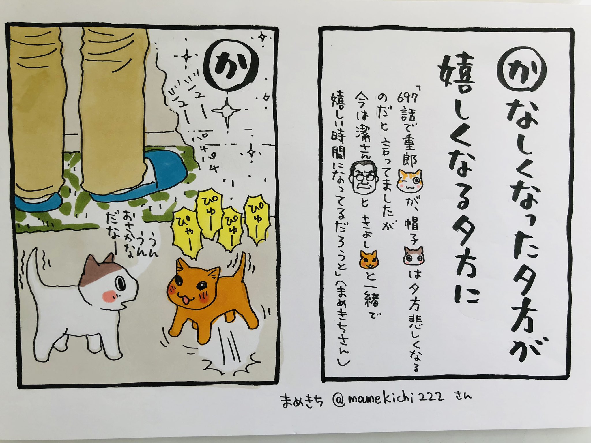 深谷かほる「夜廻り猫」11巻 on X: 