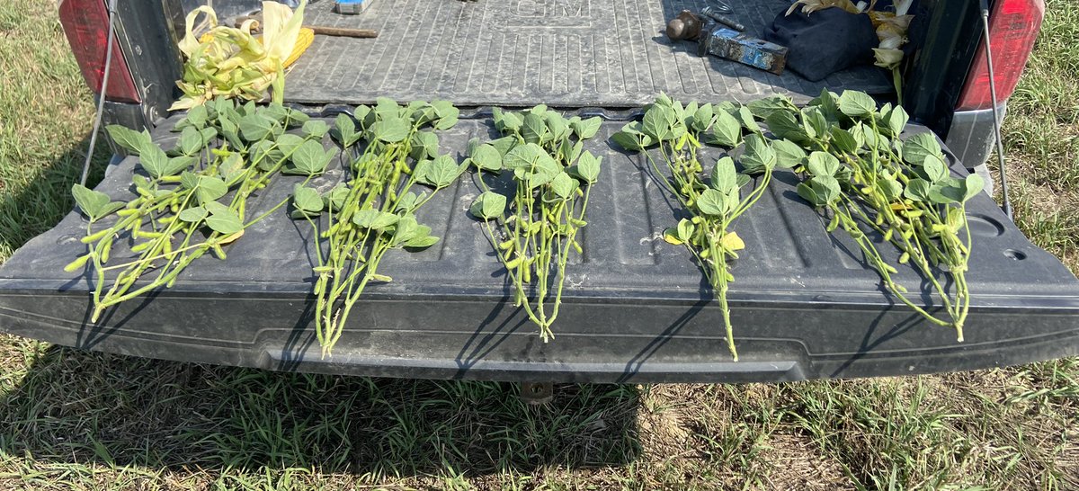 FarmRx_Hannah Ammann tweet media