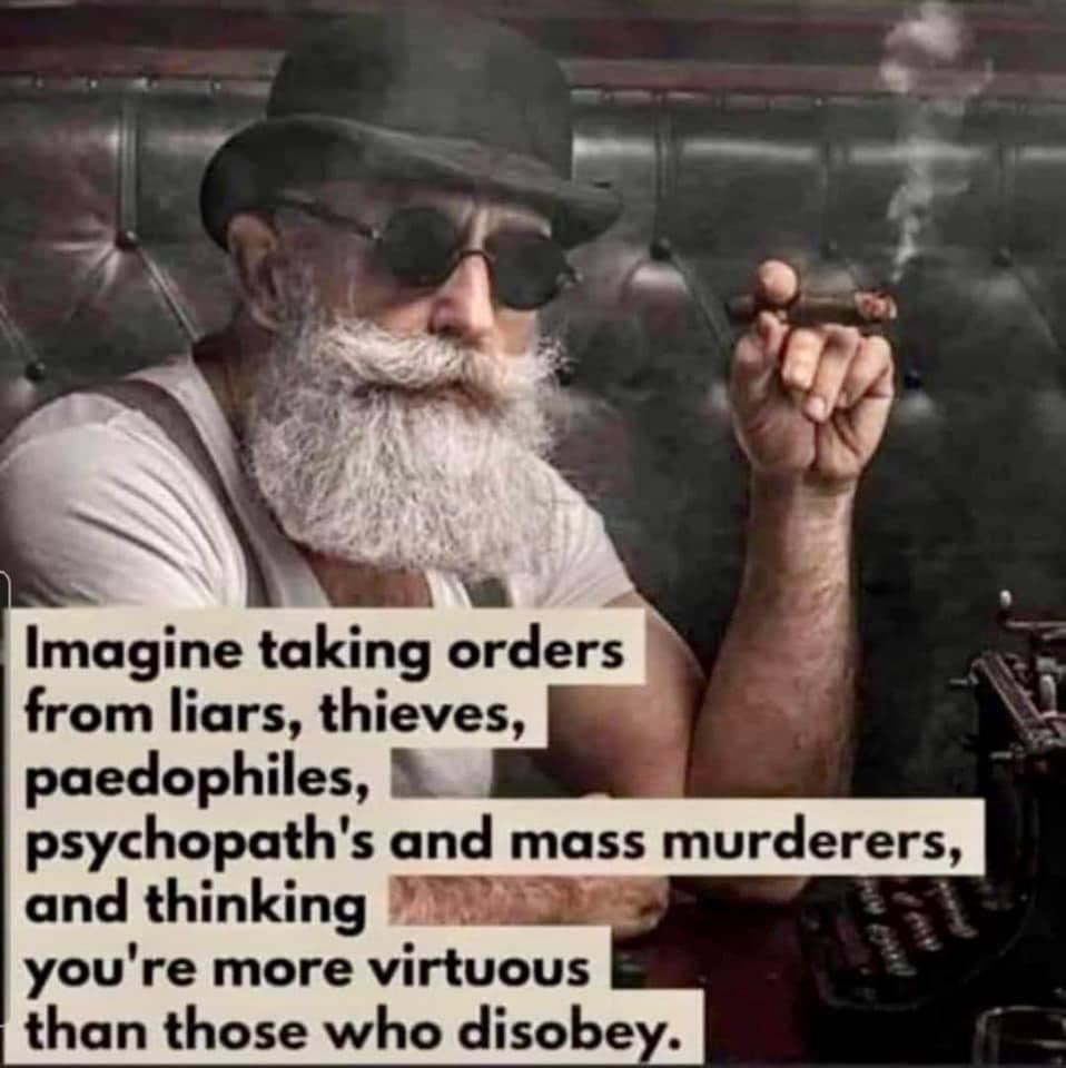 Redwood75746520's tweet image. 