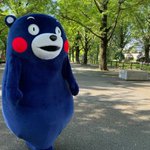 おはくま〜！よし、行くかモン。 pic.twitter.com/XWGZ5Qc3c6