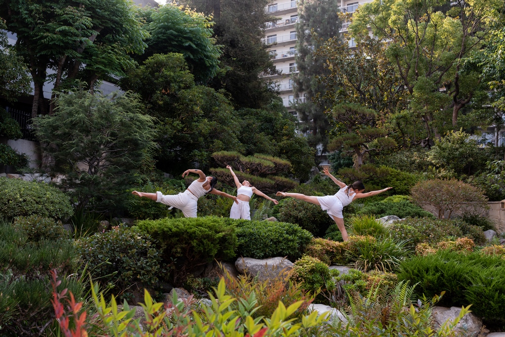 MashUp Contemporary tweet media