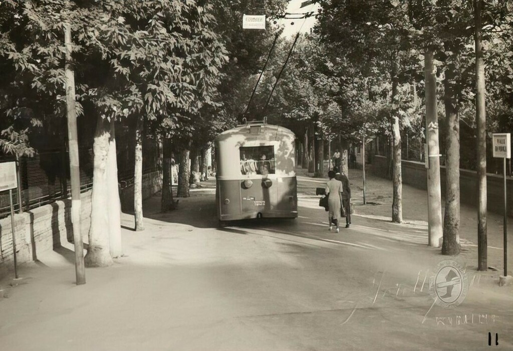 riminisparita's tweet photo. Prossima fermata: viale Dandolo! (1951) 📷❤
.
Foto Moretti © @biblioteca_gambalunga
.
#rimini #riminisparita #startromagna #filobus #rivieraromagnola #annicinquanta https://t.co/R3rqzVnQw6