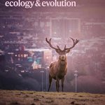 Photo by Intl Bio-Logging Soc (@biologging)