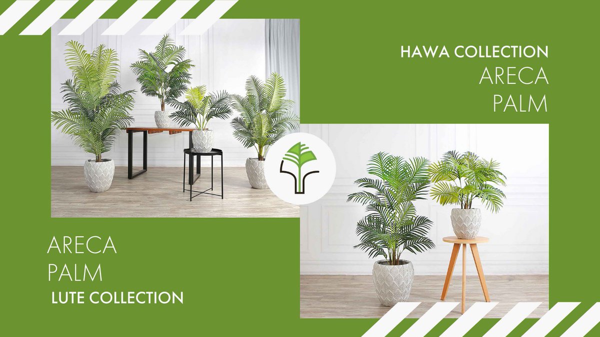 TreeishD's tweet image. With these many options you will want to get more than just one. 

Our areca palm collections feature these classic and tropical palms suitable for any space

#TreeishDecor #fauxplants #artificialplants #arecapalms #indordecor #plants #ecommerce #canadianbusiness #yycbusiness