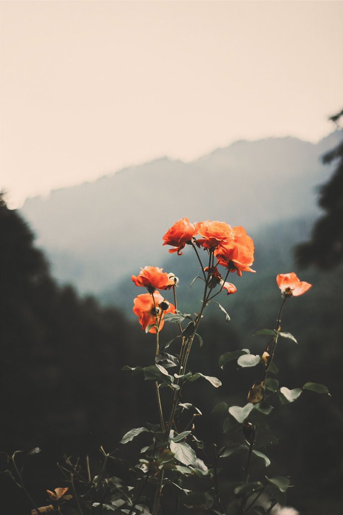 Forreverr_Everr's tweet image. I think I&apos;d miss you even if we never met.