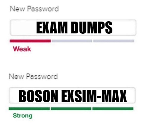 exsim max exsim max