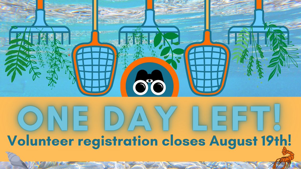 Calling all volunteers to help fill our rosters for the Green Bay, Burnett, Menomonie, Crandon, Jefferson, and Osceola events!!! Or choose another of the 20+ AIS Snapshot Day event locations! 

See you this Saturday!

Register now! forms.gle/9iZMSUeEWQXq9q…

#snapshotday2021