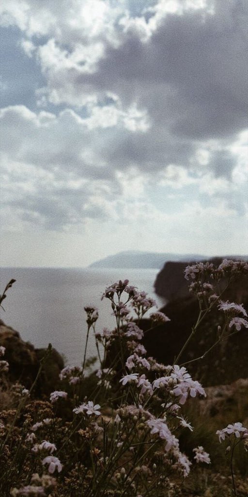 Forreverr_Everr's tweet image. I would rather spend one lifetime with you, than face all the ages of this world alone.