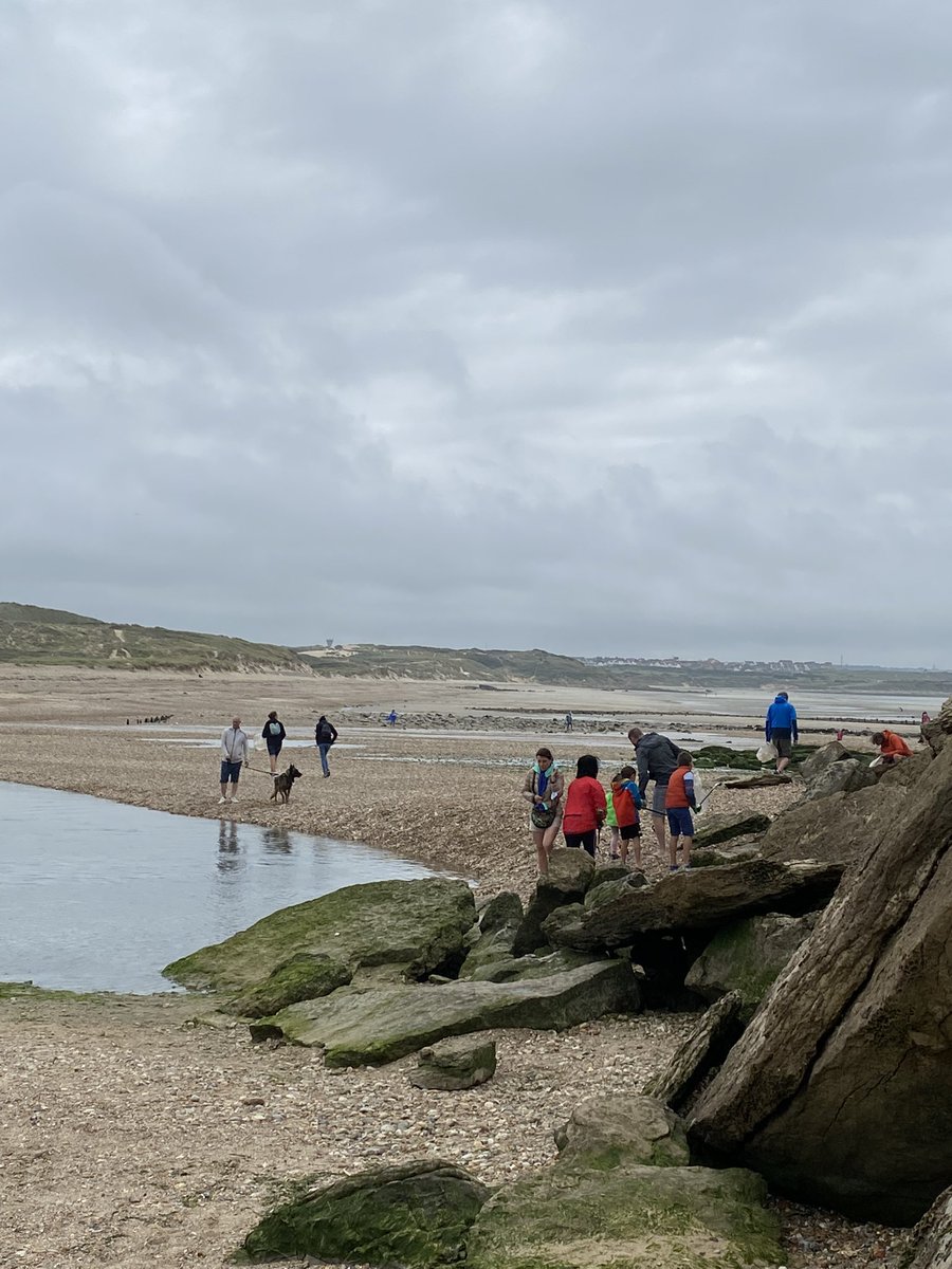 AssoNatureLibre's tweet photo. Merci beaucoup aux 34 participants d’avoir récolté 109kg de déchets plus ou moins grands, sur les berges de la plage d’Ambleteuse !✨

Merci aux adultes, mais également aux enfants 😊 https://t.co/KIygQwRlyA