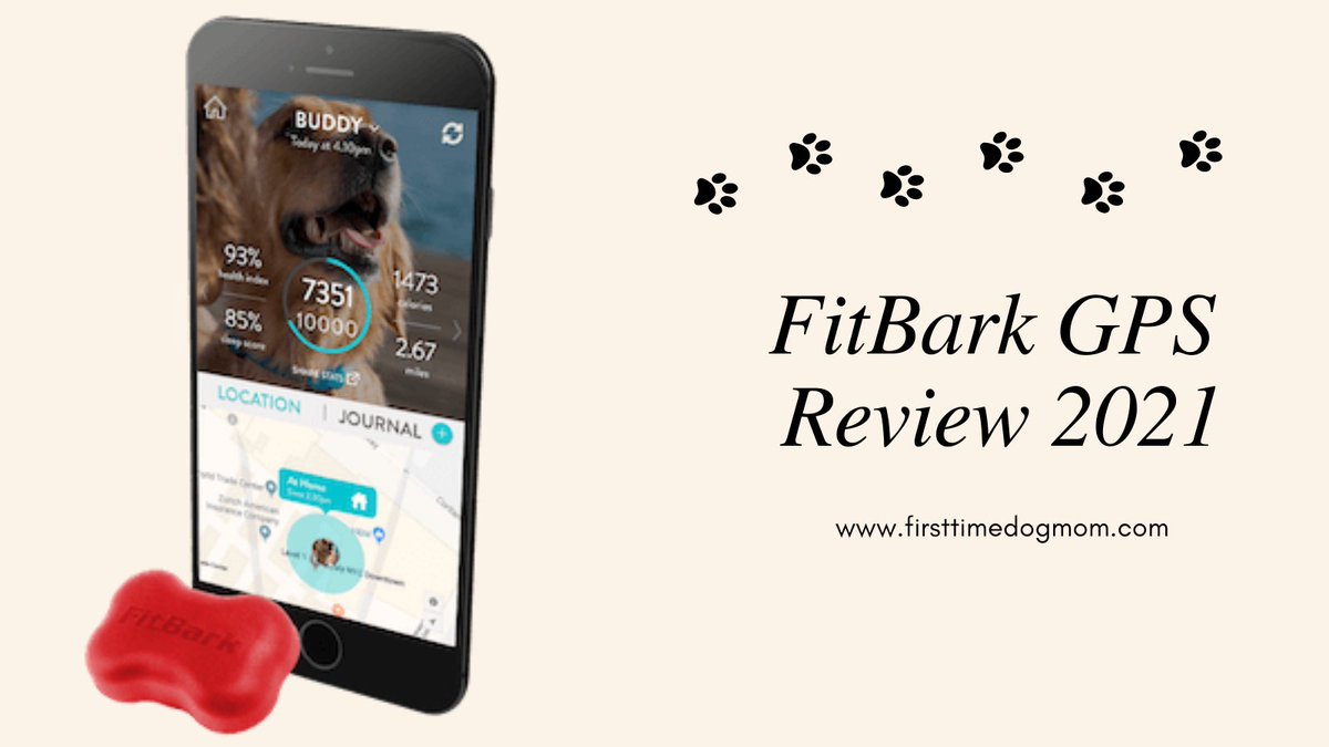 JennyHennig8's tweet photo. Did you know that your favourite dog health and activity monitor is available in GPS? Here is my FitBark GPS Review https://t.co/HoCkEHrGkh
#doghealth #dogslife #fitbark . . . https://t.co/8uIROVjvbA