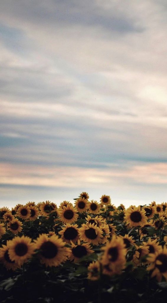 Forreverr_Everr's tweet image. Love is that condition in which the happiness of another person is essential to your own.