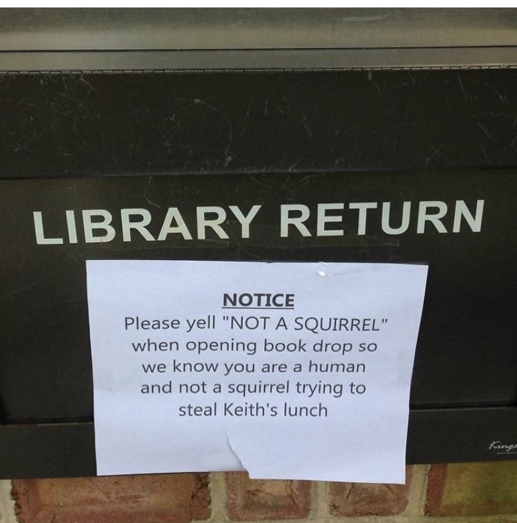 uhcw_inf_con's tweet image. Saw this and wondered if it was useful for book amnesty August …? ⁦@UHCWLibrary⁩ #notasquirrel