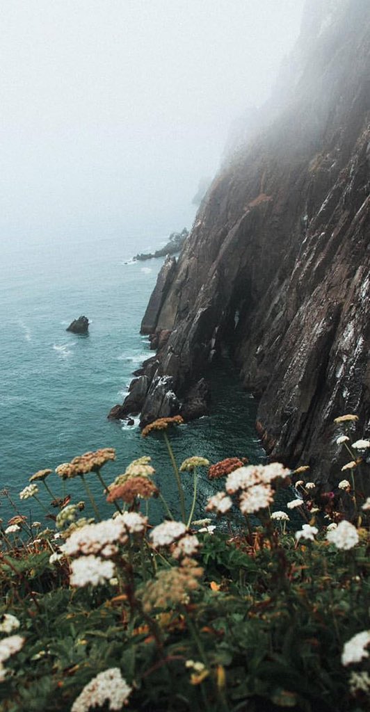 Forreverr_Everr's tweet image. It is sad not to love, but it is much sadder not to be able to love.